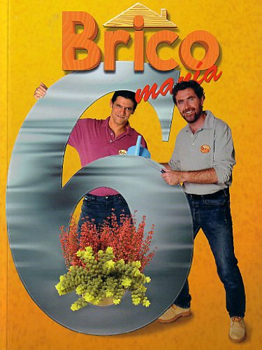 Portada del libro de Bricomanía 6